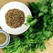 El cilantro es malo para la gastritis? y remedios caseros con cilantro