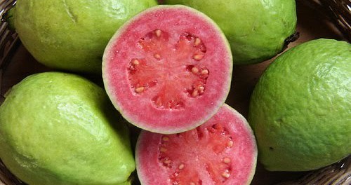 hojas de guayaba para colitis