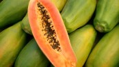 Semillas de papaya para el cabello