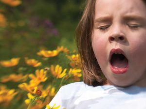 remedios rinitis alergica en niños