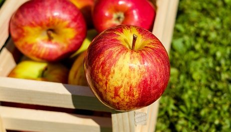 manzana hervida para que sirve