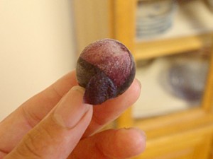 piel de la uva