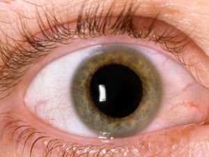 Remedios caseros para la retinopatia diabetica