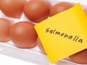 remedios para la salmonella