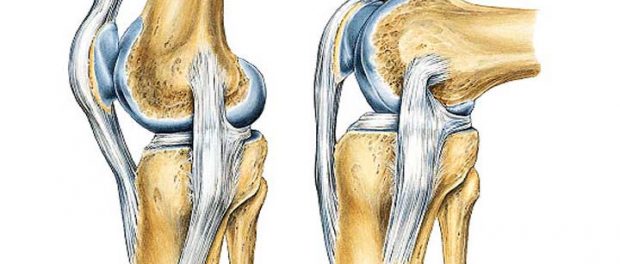 remedios para fortalecer ligamentos