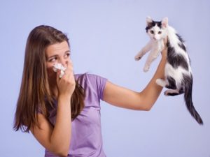 remedios alergia a los animales