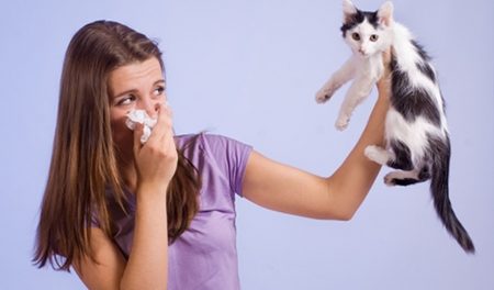 remedios alergia a los animales