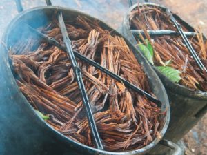 que enfermedades cura el ayahuasca