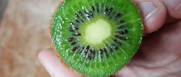 kiwi