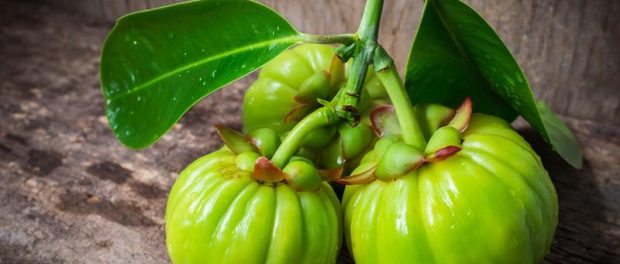 garcinia cambogia contraindicaciones