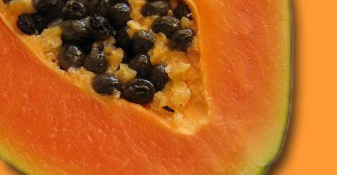 enzima de papaya
