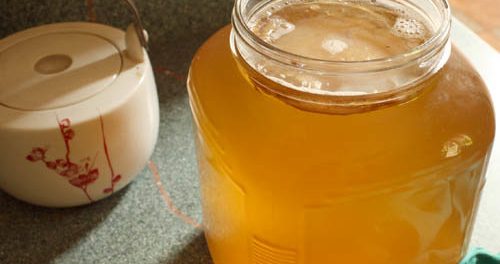 kombucha para diabeticos