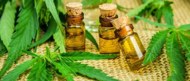 aceite esencial de cannabis