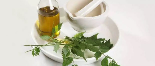 aceite de neem para el cabello