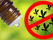 aceites esencial para repeler mosquito
