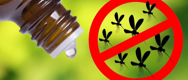 aceites esencial para repeler mosquito