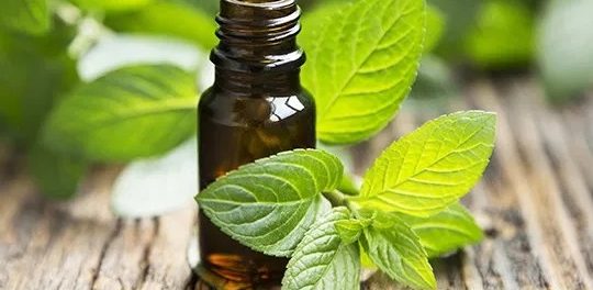 aceites esenciales para el sindrome del colon irritable