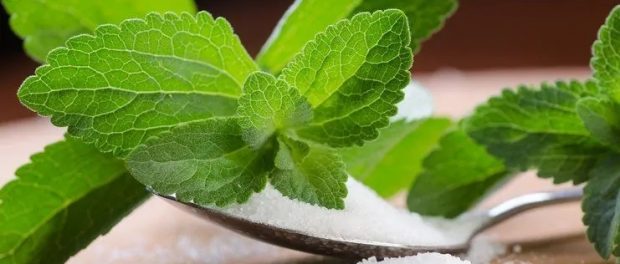 Stevia: Beneficios y desventajas