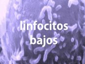 linfocitos bajos