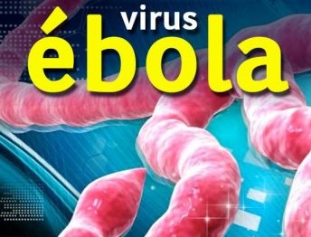 remedios para el ebola