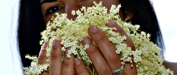 flor de sauco para la piel