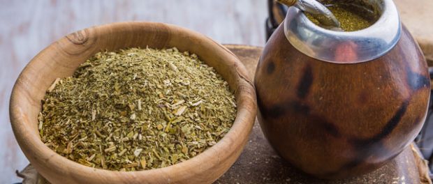 yerba mate propiedades medicinales