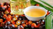 aceite de palma beneficios y contraindicaciones