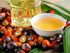 aceite de palma beneficios y contraindicaciones