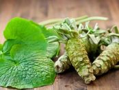 wasabi beneficios y contraindicaciones