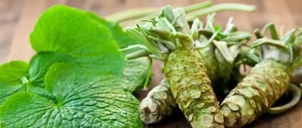 wasabi beneficios y contraindicaciones