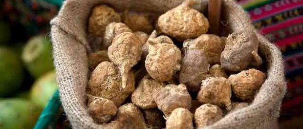 maca beneficios y contraindicaciones