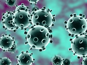 Como fortalecer el sistema inmunológico frente al coronavirus