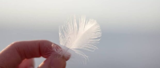 que significa una pluma blanca pequeña