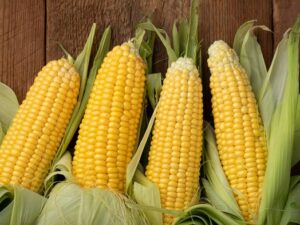 maíz significado espiritual